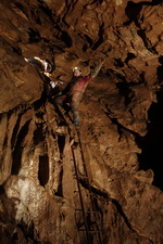 Thumbnail of photo from this article